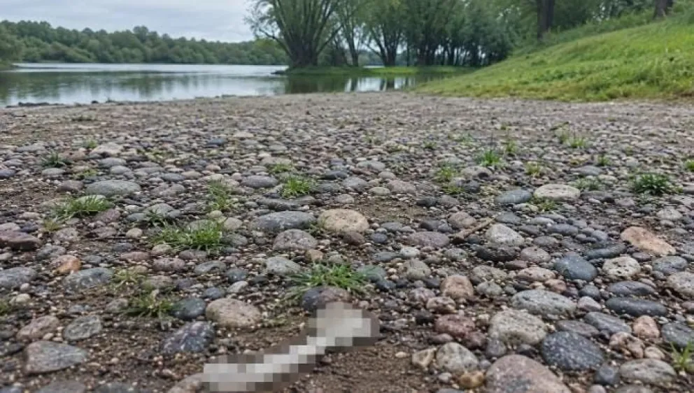 Tras la indignante postal, los turistas señalaron que es necesario un mayor control y cartelería. Foto LCR hecha con IA