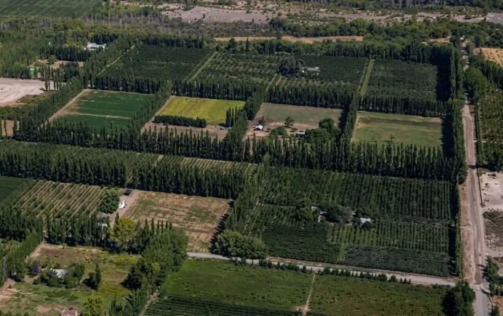 El proyecto busca correr los límites de la ciudad hacia zonas rurales, incluyendo sectores cercanos a las rutas 22 y 65 y parcelas de cultivo. Foto archivo