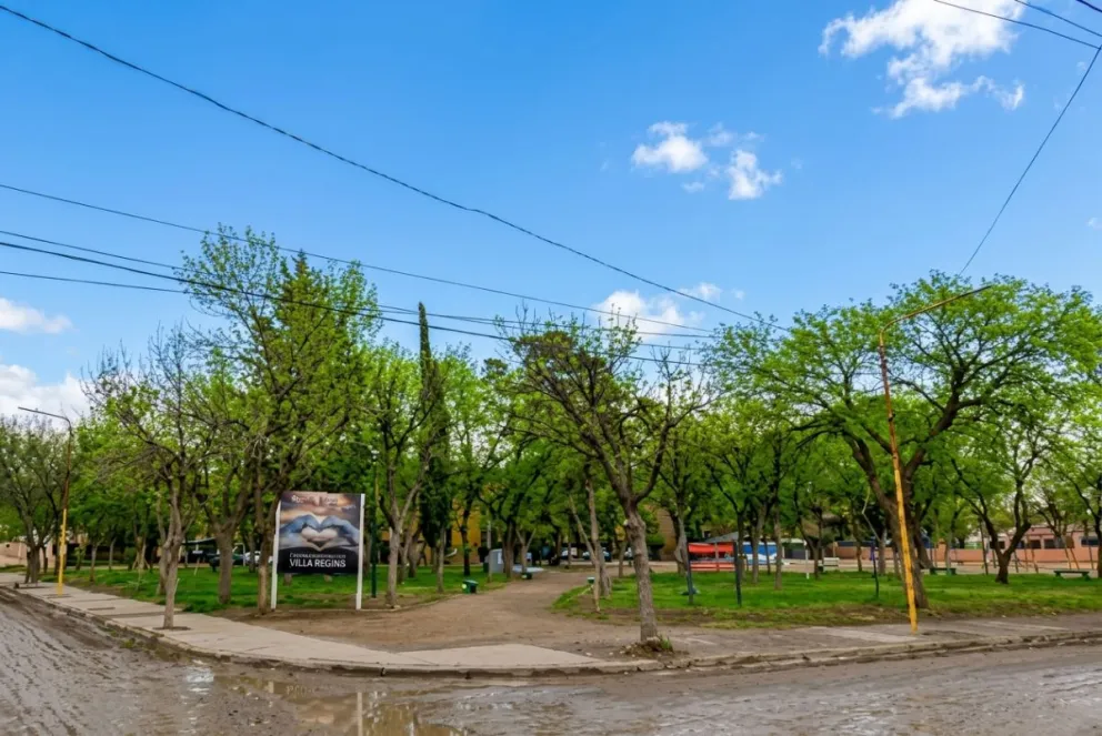 La detención del sujeto de 28 años se produjo una vez que se lo llevó de la plaza a la Comisaría Quinta. Foto LCR hecha con IA